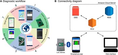 Quantitative detection of dengue serotypes using a smartphone-connected handheld lab-on-chip platform